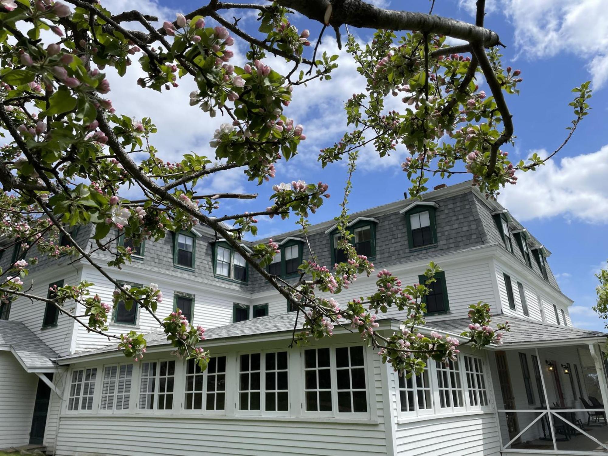 Oakland House Seaside Inn & Cottages Brooksville Exterior foto